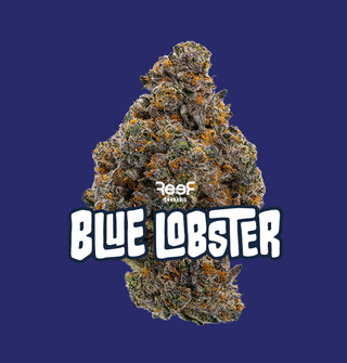 Blue Lobster Reef