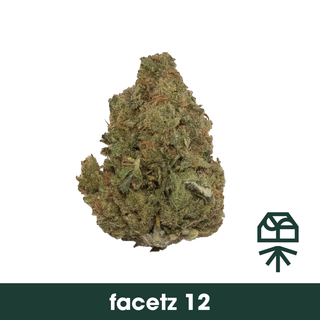 Facetz 12 Grassroots