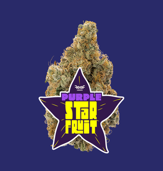 Purple Starfruit Reef