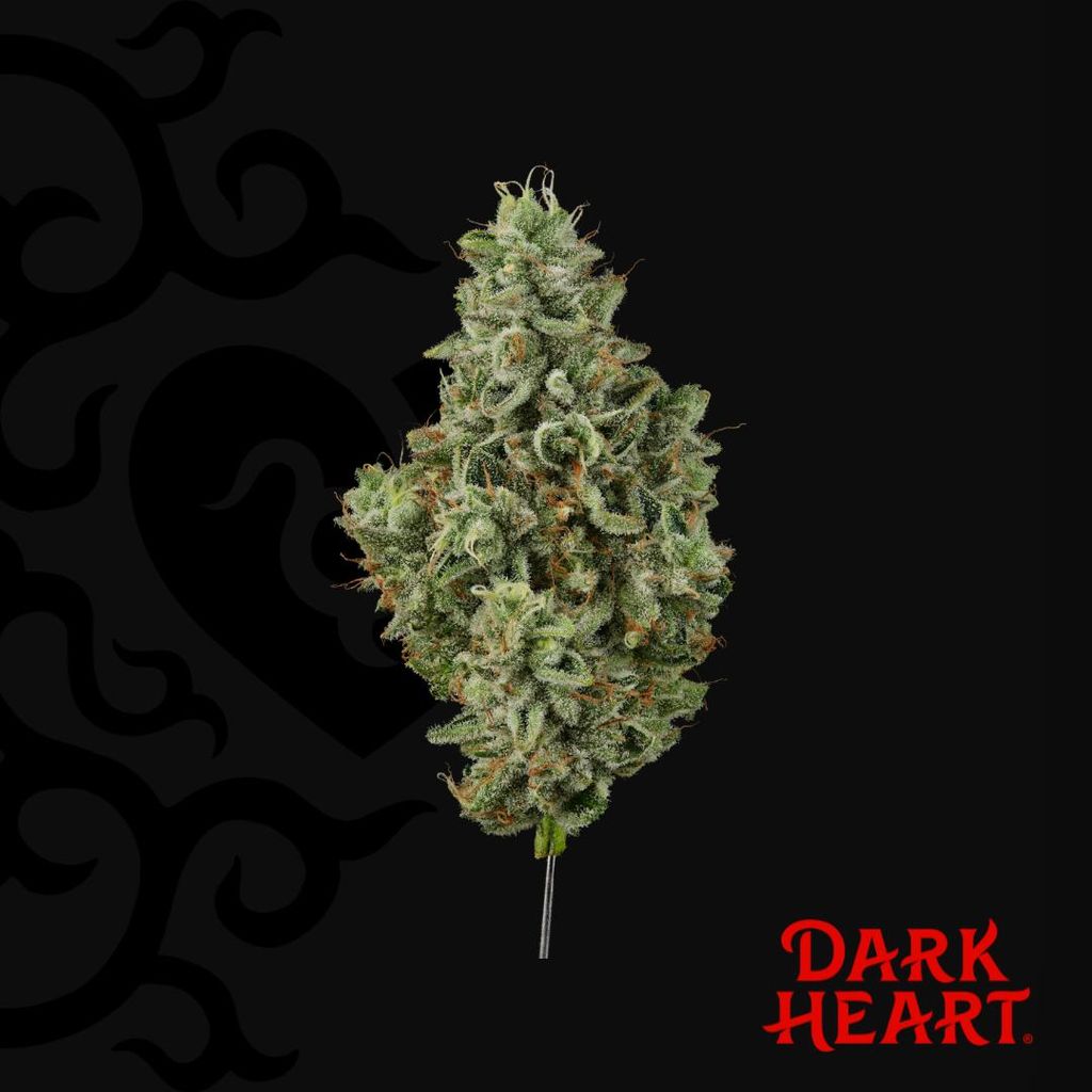 Dark Heart Grandmas House Whole Flower 3.5g