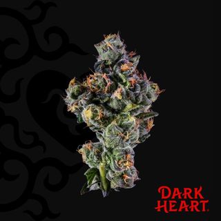 Sugar Kushions Dark Heart