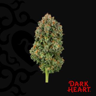 Blackened Blue Dark Heart