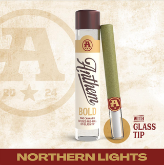 Northern Lights Anthem