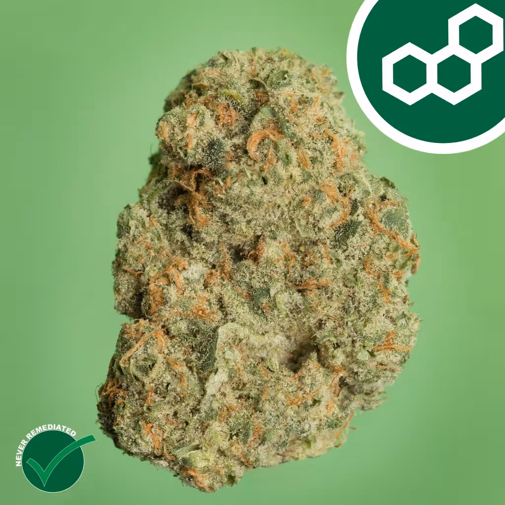 Banapple Medellin Theraplant