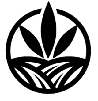 Cannabis Promo, Cannabis Sales, Descuentos en cannabis, Cannabis on Sale, ÚLTIMA OPORTUNIDAD: 40% DE DESCUENTO 3
