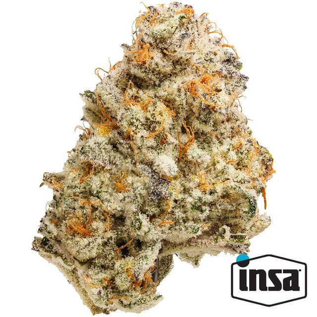 Cap Junky INSA