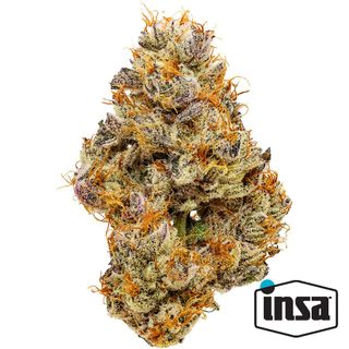 Cannabis Promo, Cannabis Sales, Cannabis Discounts, Cannabis on Sale, $120 for INSA 28g Flower! 1