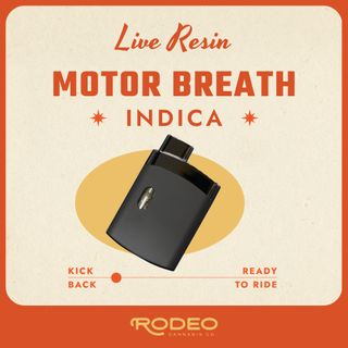 Cannabis Promo, Cannabis Sales, Descuentos en cannabis, Cannabis on Sale, ¡25% de descuento en productos Rodeo Vaporizador! 2