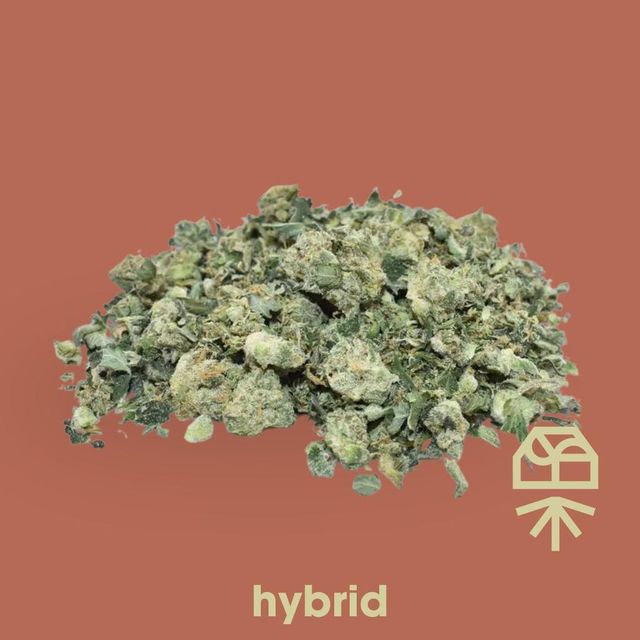Papaya Drip #3 Grassroots