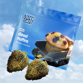 Diesel Muffins Later Days