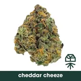 Ched R Cheez