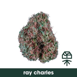 Ray Charles Grassroots