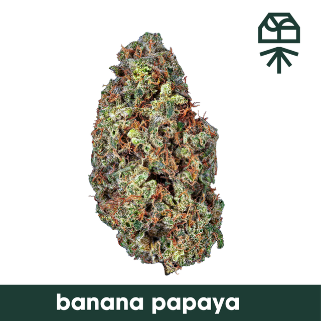Banana Papaya Grassroots