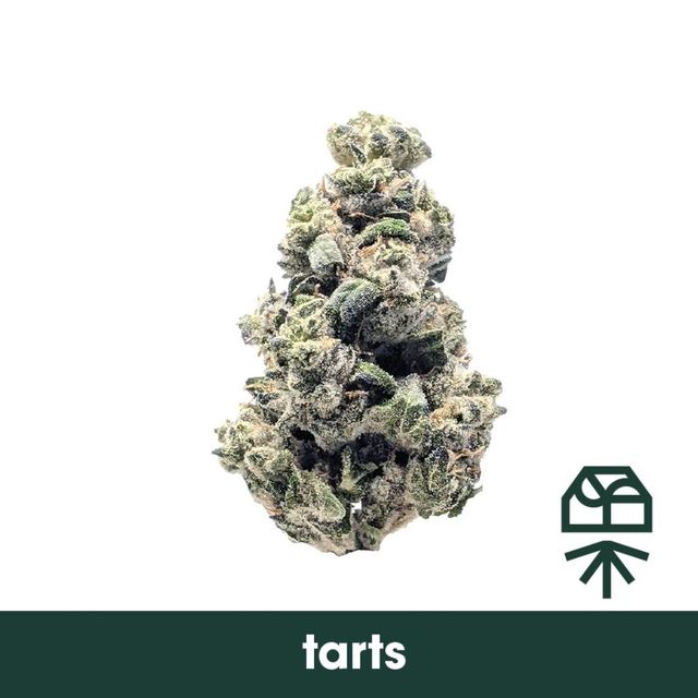 Tarts Grassroots