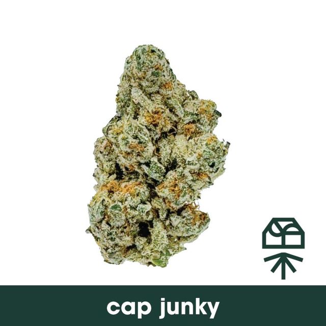 Cap Junky Grassroots