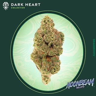 Moonbeam Gelato Grassroots
