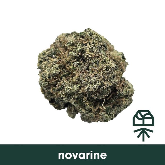 Novarine Grassroots