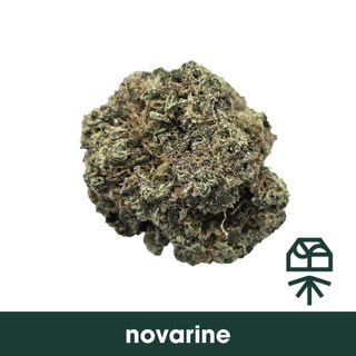 Cannabis Promo, Cannabis Sales, Cannabis Discounts, Cannabis on Sale, Up To 50% Off Last Chance Deals! While Supplies Last! 1