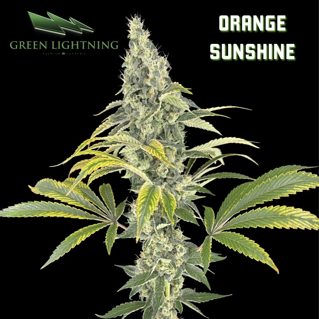 Orange Sunshine