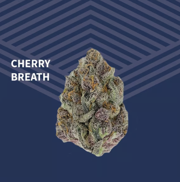 Cherry Breath Pure Dakota