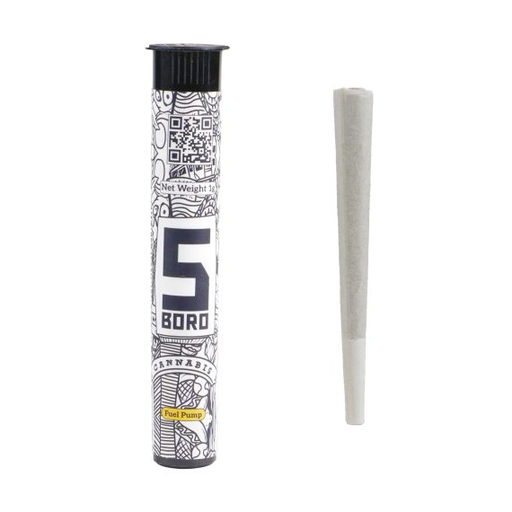 Fuel Pump 5 Boro