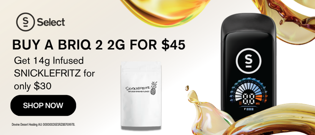 Cannabis Promo, Cannabis Sales, Cannabis Discounts, Cannabis on Sale, $75 BUNDLE: BRIQ 2 2g All-In-One & 14g Infused SNICKLEFRITZ!