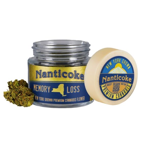 Memory Loss Nanticoke