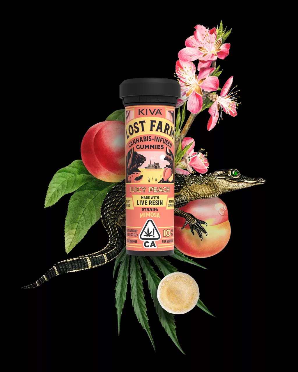 Juicy Peach x Mimosa KIVA
