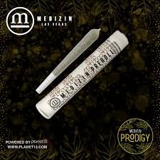 Prodigy Medizin