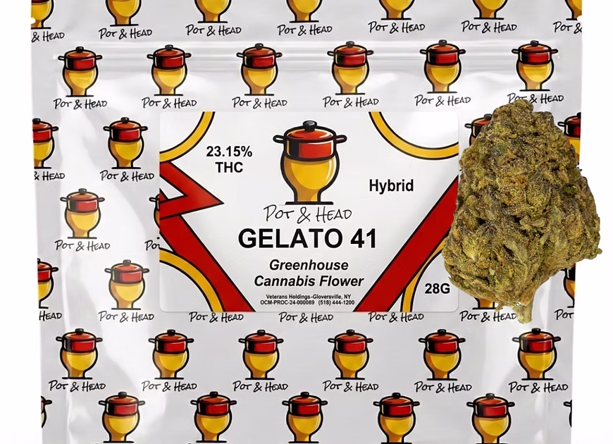 Gelato 41 Pot & Head