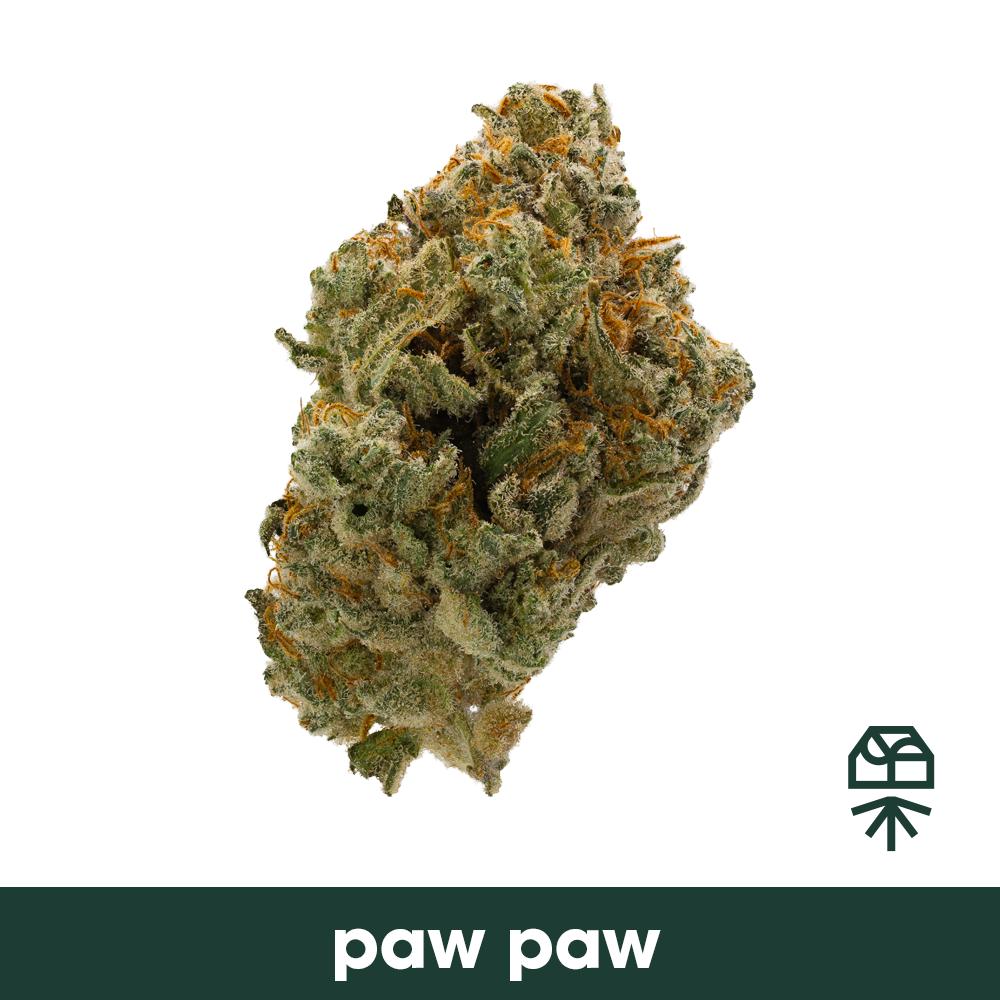 Paw Paw