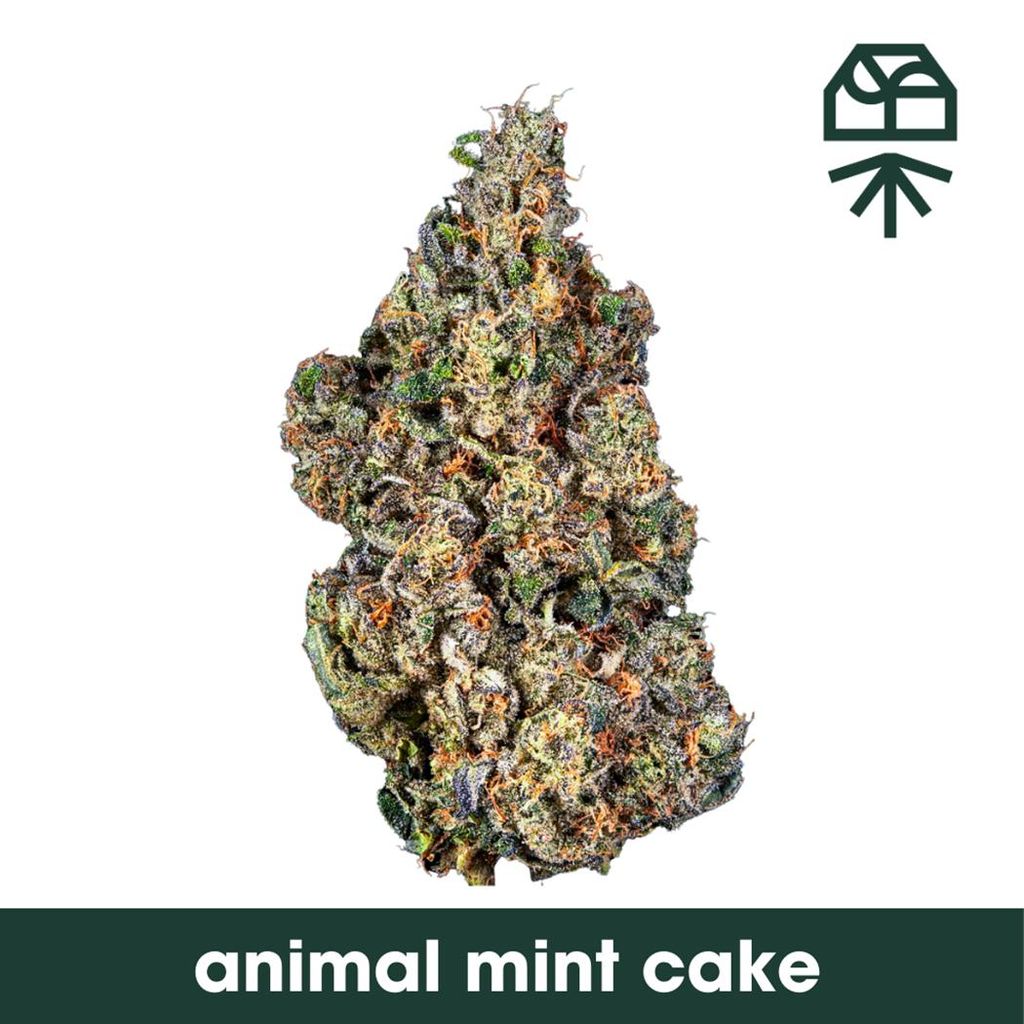 Animal Mint Cake