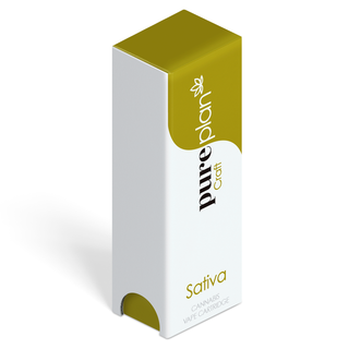Sour Tangie Pure Plan