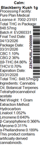 Blackberry Kush Pure Plan Blackberry Kush Pure Plan