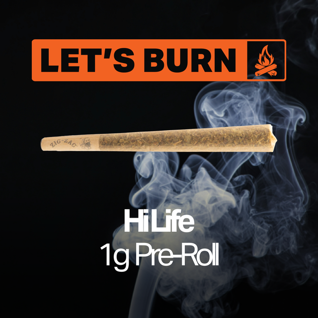 Hi Life Let's Burn