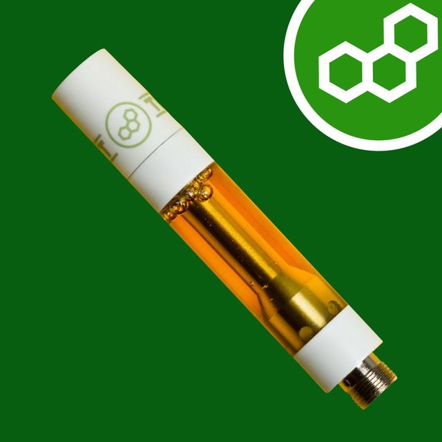 Sunny Sundaze Theraplant