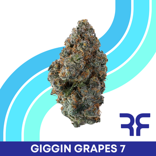 Giggin Grapes #7 Reef