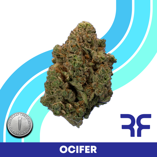 Ocifer Reef