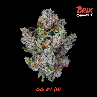 GG4 Brix