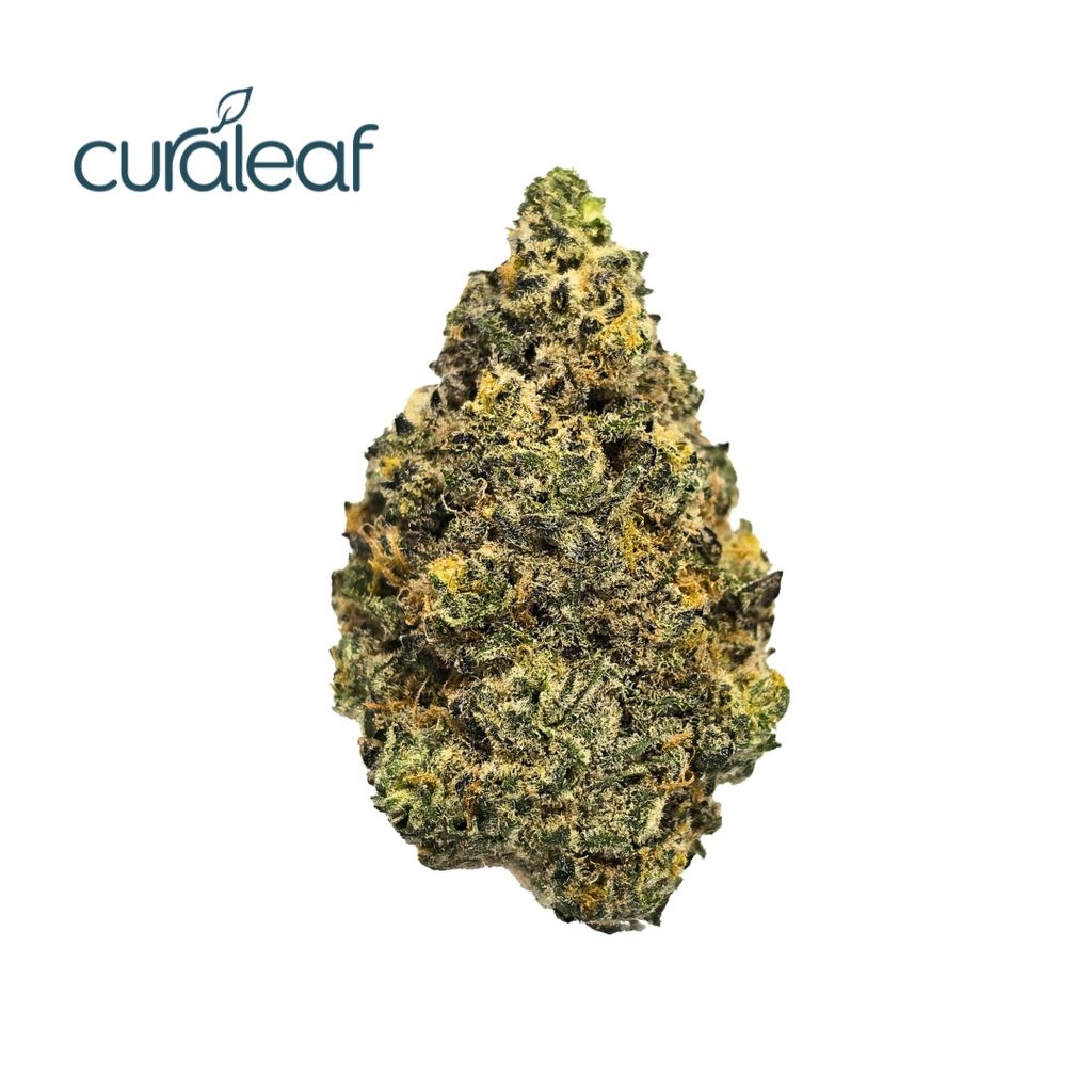 Orange Z 14g Whole Flower | Curaleaf Manchester, CT | Medical Cannabis