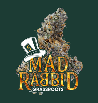 Mad Rabbid #5 Grassroots