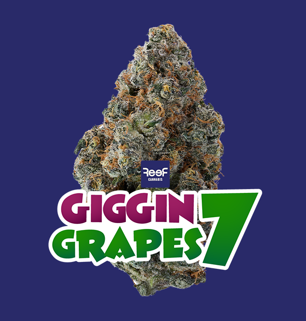 Giggin Grapes #7 Reef Giggin Grapes #7 Reef