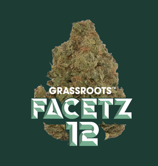 Facetz 12 Grassroots
