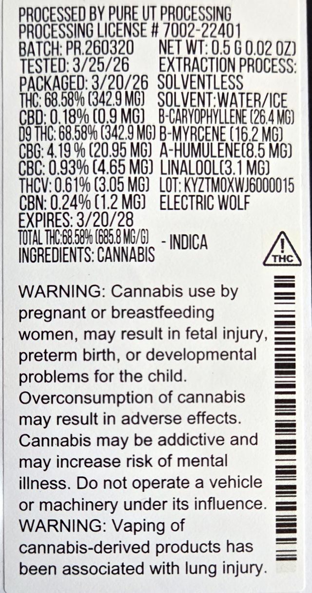 Electric Wolf Moxie Electric Wolf Moxie