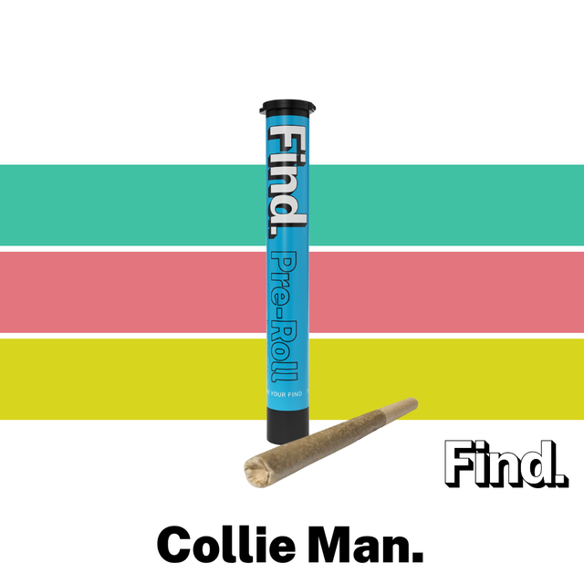 Collie Man Kush Find.