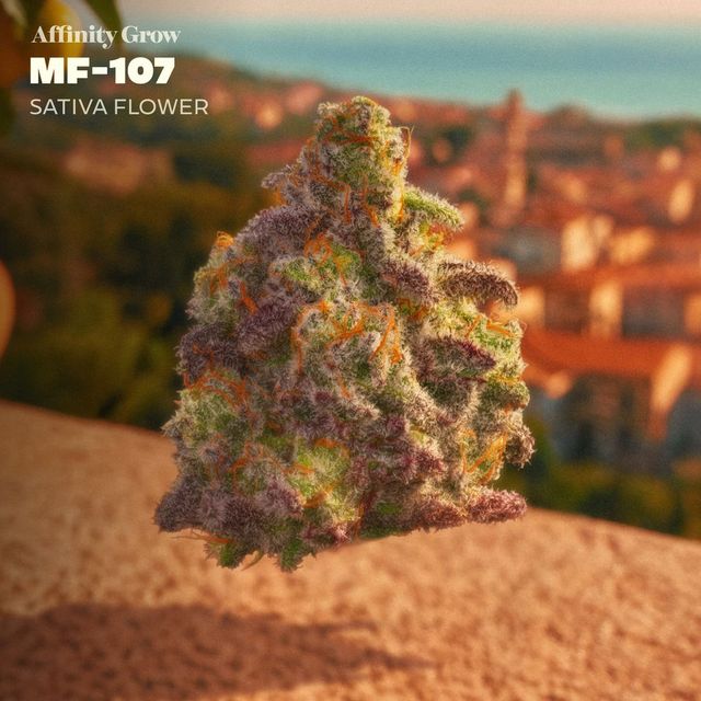 MF-107 Affinity Grow