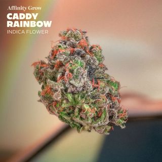Caddy Rainbow Affinity Grow