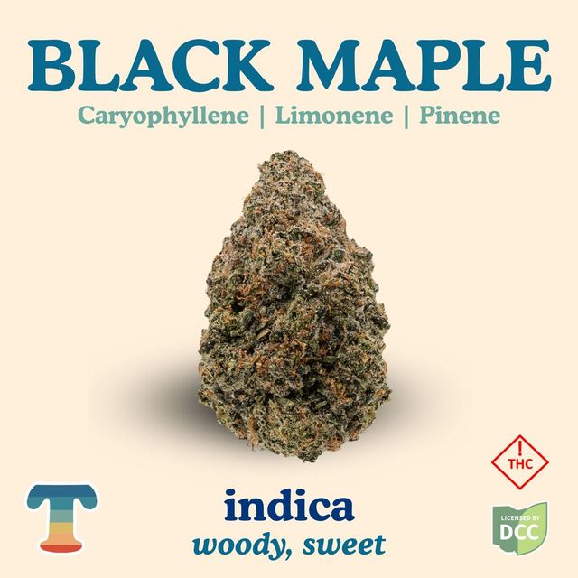 Black Maple Treehaus