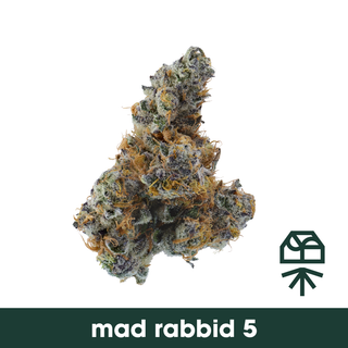 Mad Rabbid #5 Grassroots