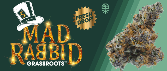 Cannabis Promo, Cannabis Sales, Cannabis Discounts, Cannabis on Sale, Launch: GR Mad Rabbid